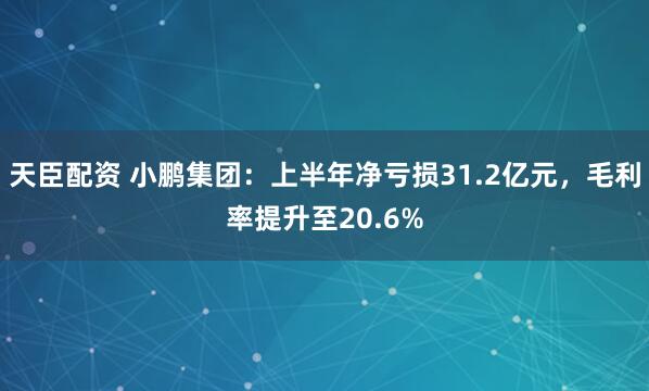 天臣配资 小鹏集团：上半年净亏损31.2亿元，毛利率提升至20.6%